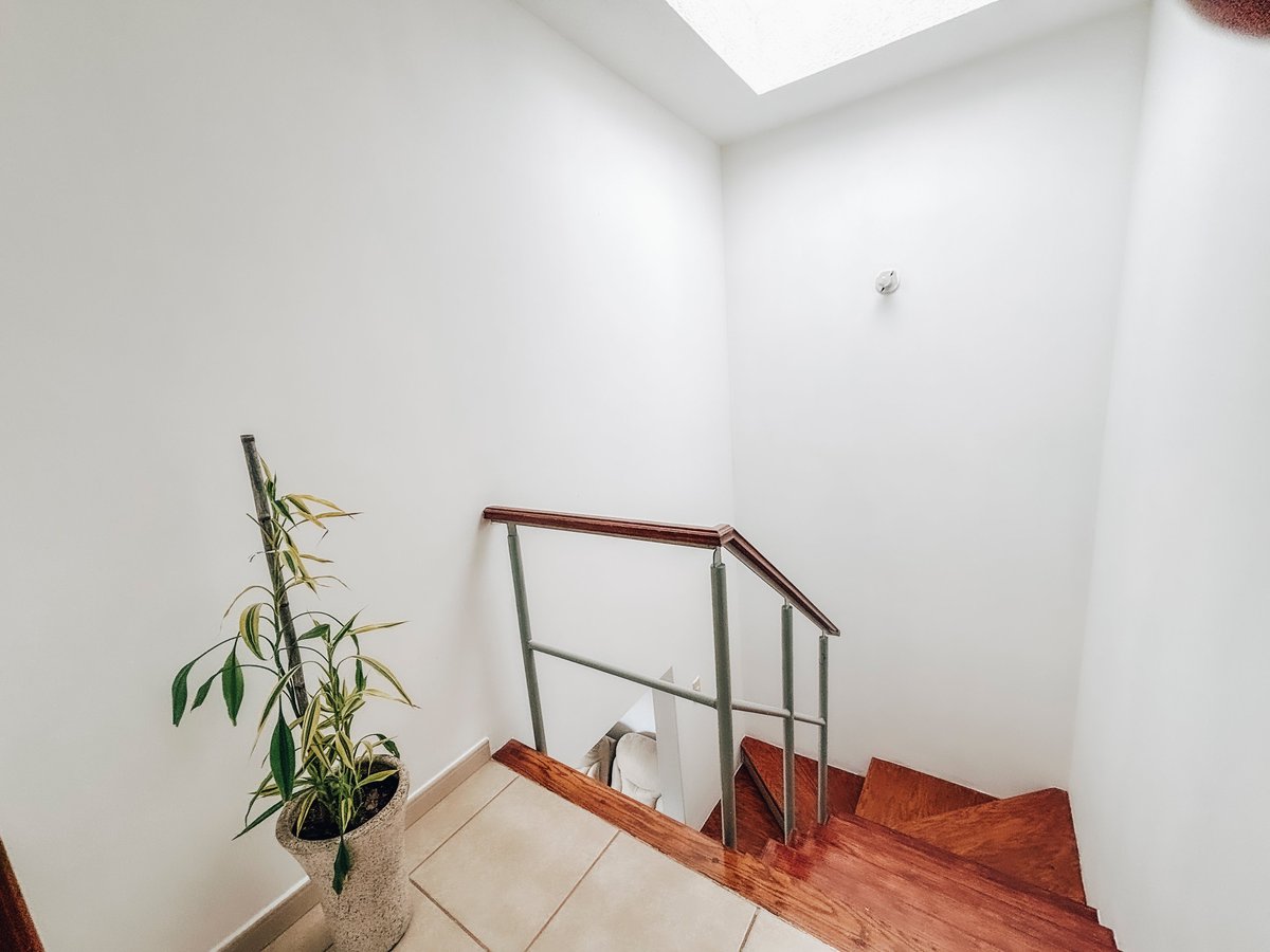 Staircase with metal railing in modern white room with skylights and potted plant