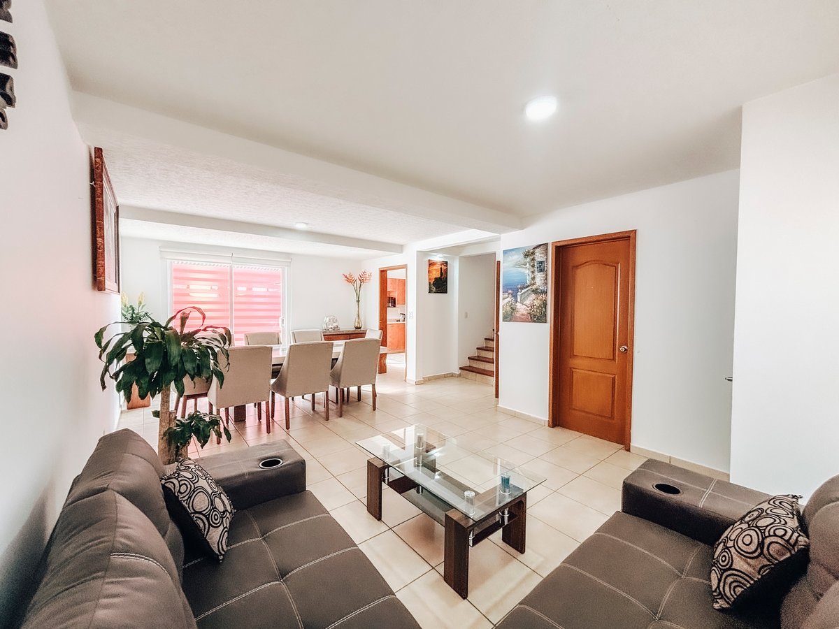 Modern living room with gray sofas, glass coffee table, dining area, potted plant, and wooden door opening to staircase.