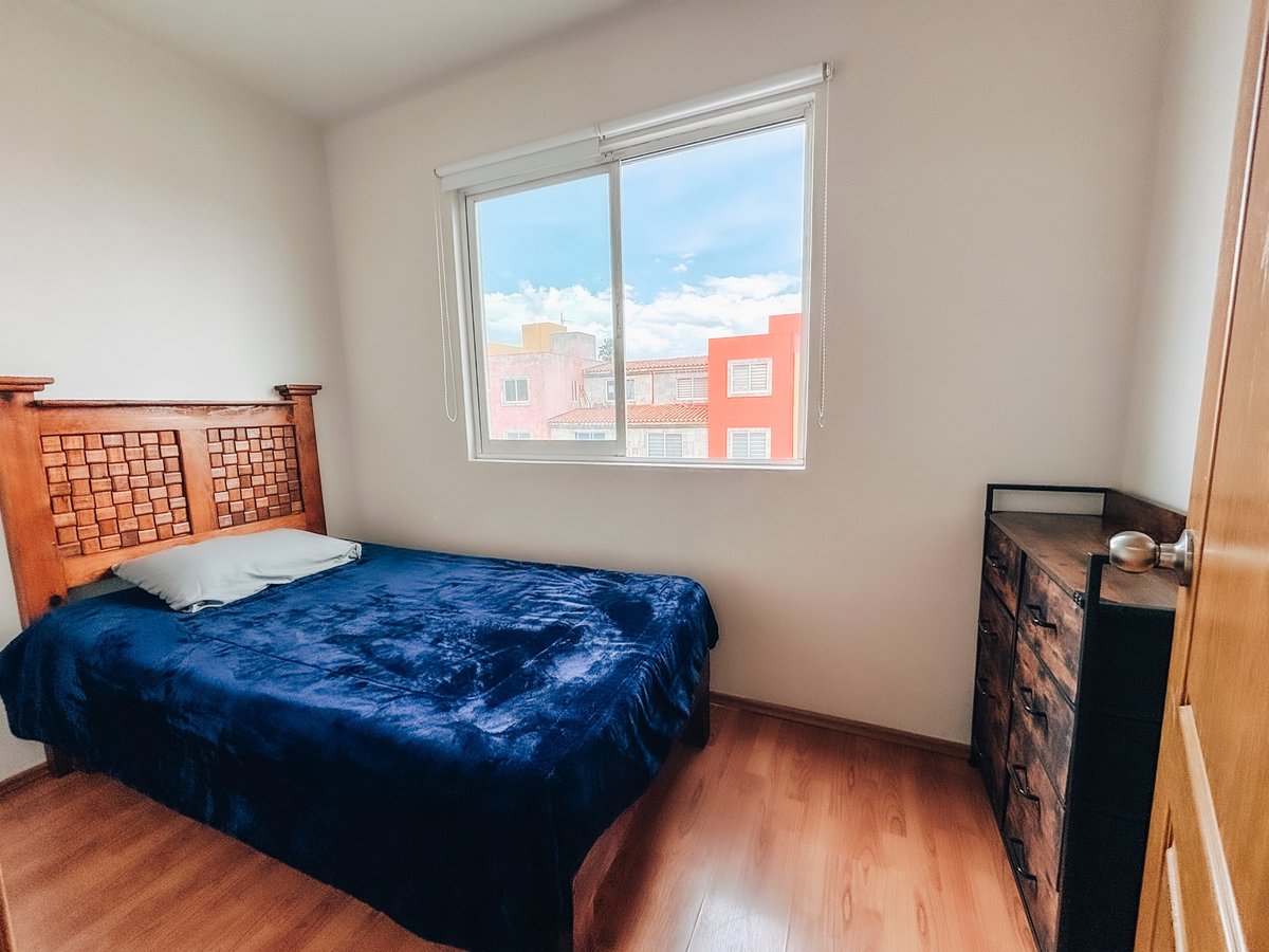 Modern bedroom with blue velvet bed, wooden furniture, hardwood floors, and large window overlooking city buildings